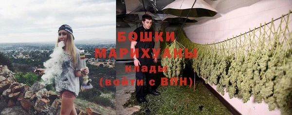 ГАЛЛЮЦИНОГЕННЫЕ ГРИБЫ Богородск